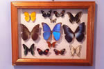Indoor Furniture & Home Decor